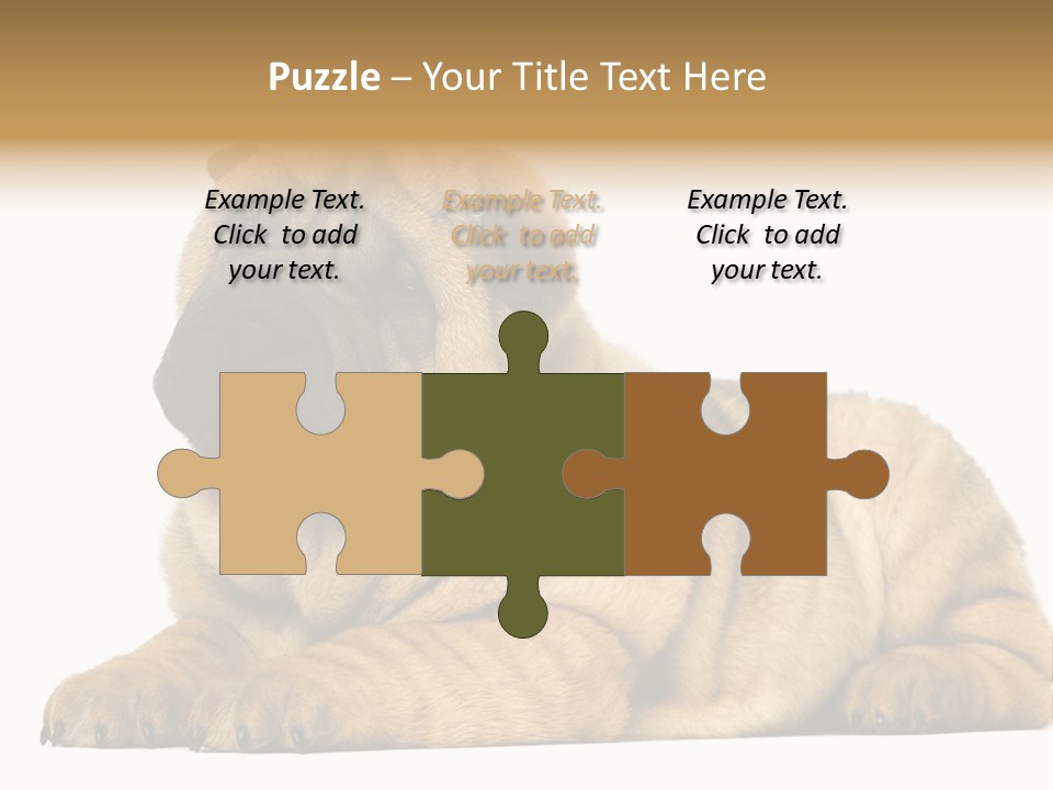 Shar Pei Puppy Lying Down PowerPoint Template