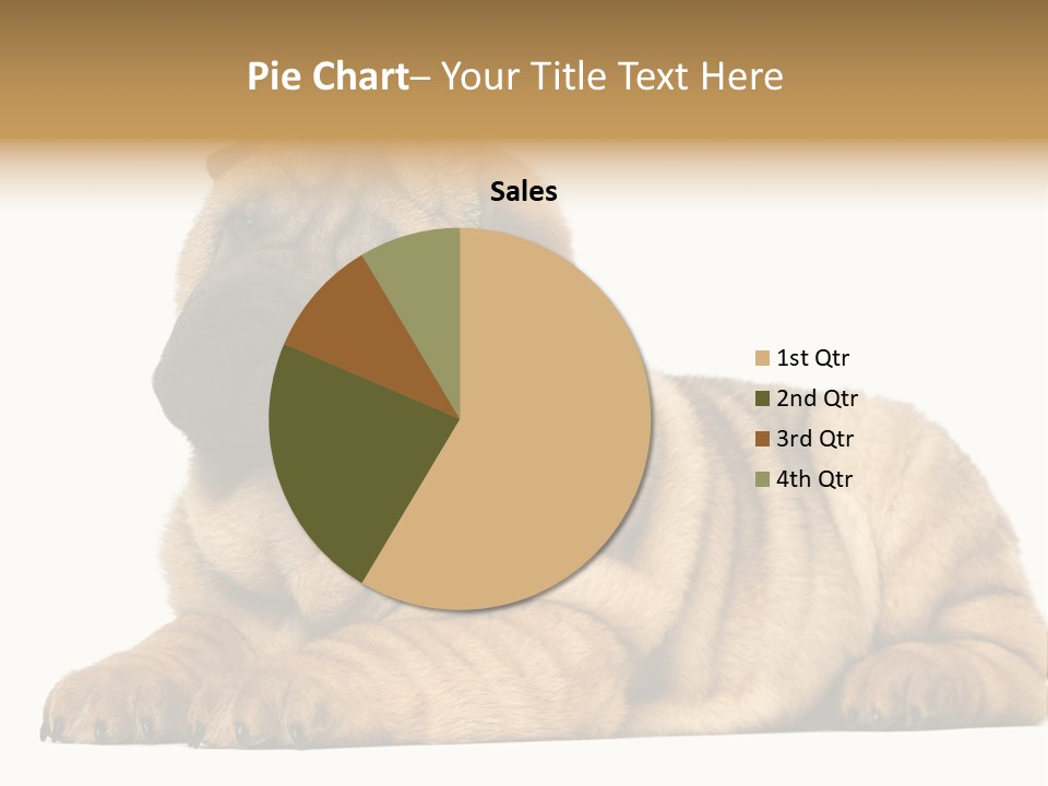 Shar Pei Puppy Lying Down PowerPoint Template