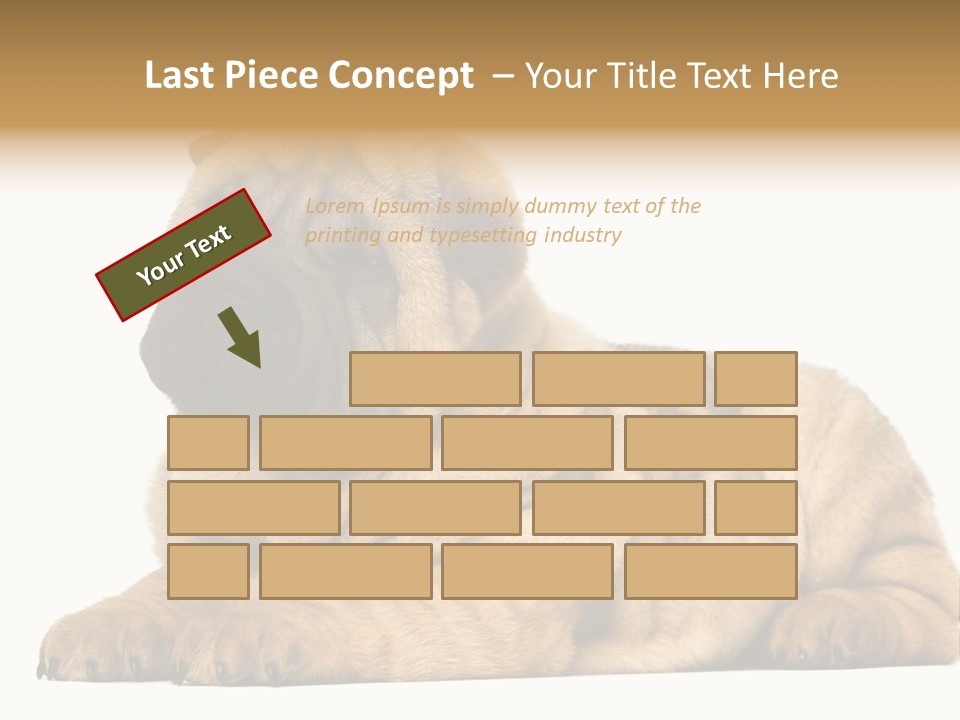 Shar Pei Puppy Lying Down PowerPoint Template