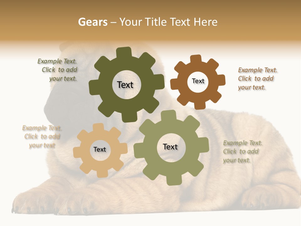 Shar Pei Puppy Lying Down PowerPoint Template