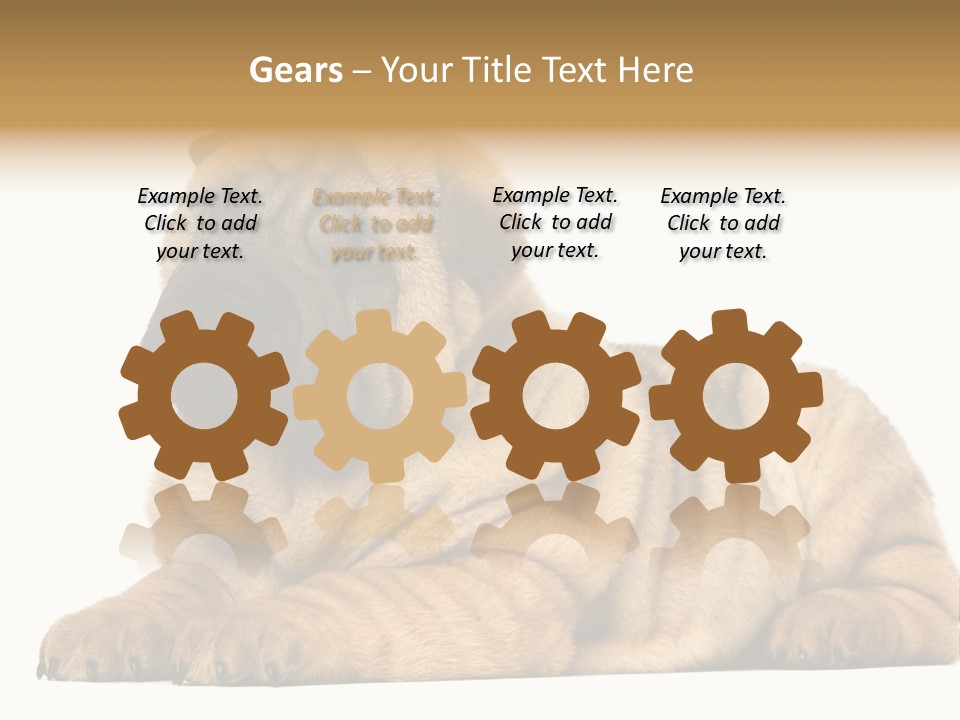 Shar Pei Puppy Lying Down PowerPoint Template