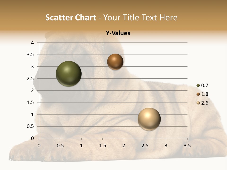 Shar Pei Puppy Lying Down PowerPoint Template