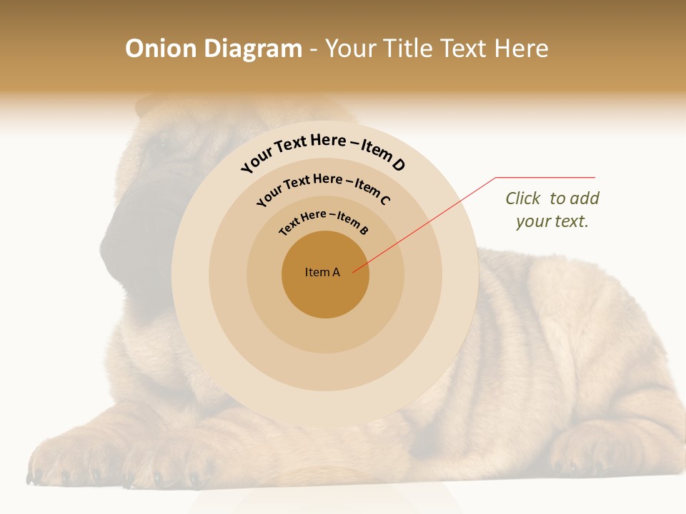 Shar Pei Puppy Lying Down PowerPoint Template