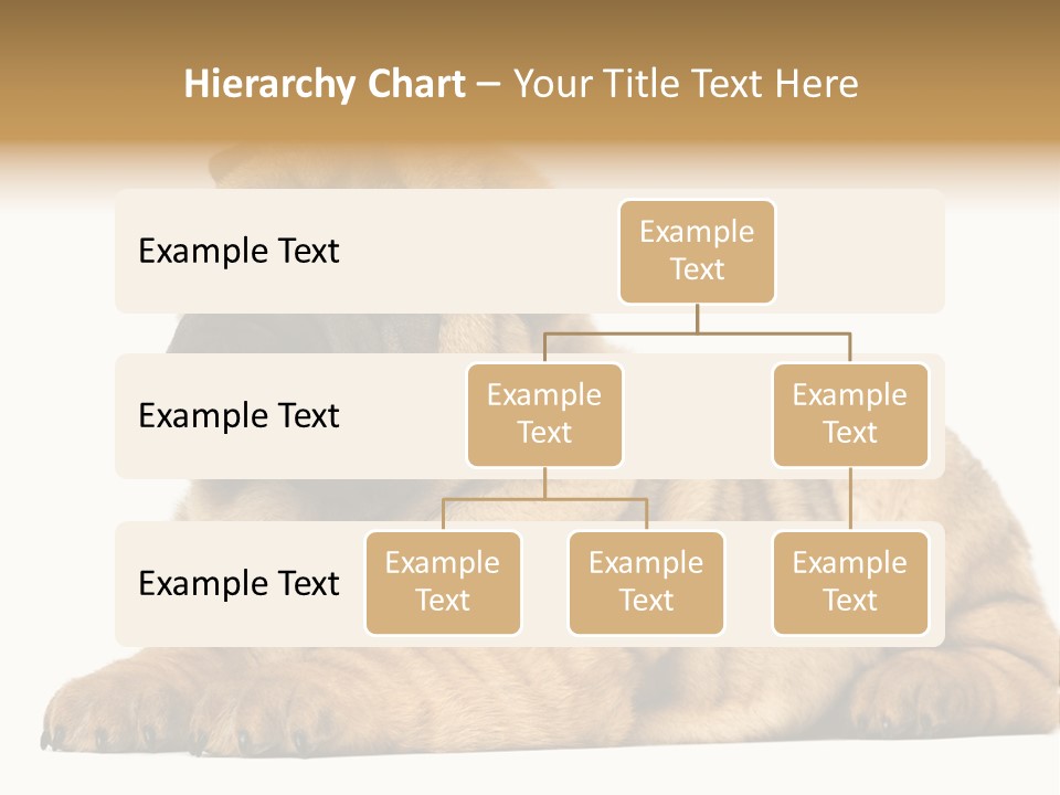 Shar Pei Puppy Lying Down PowerPoint Template