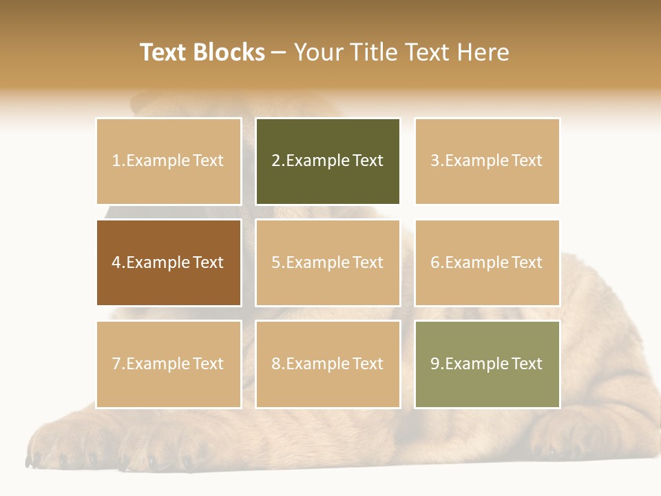 Shar Pei Puppy Lying Down PowerPoint Template