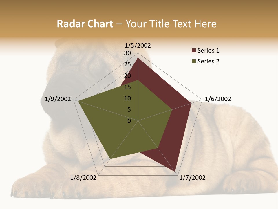 Shar Pei Puppy Lying Down PowerPoint Template