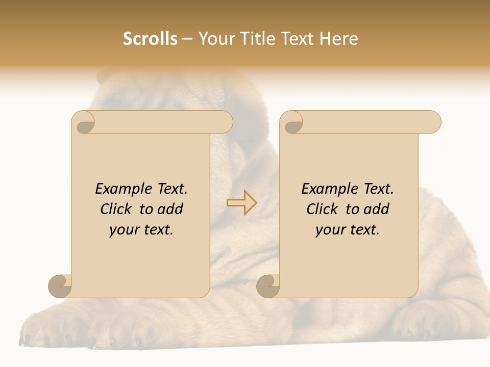 Shar Pei Puppy Lying Down PowerPoint Template