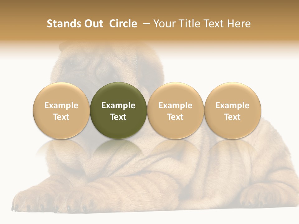 Shar Pei Puppy Lying Down PowerPoint Template