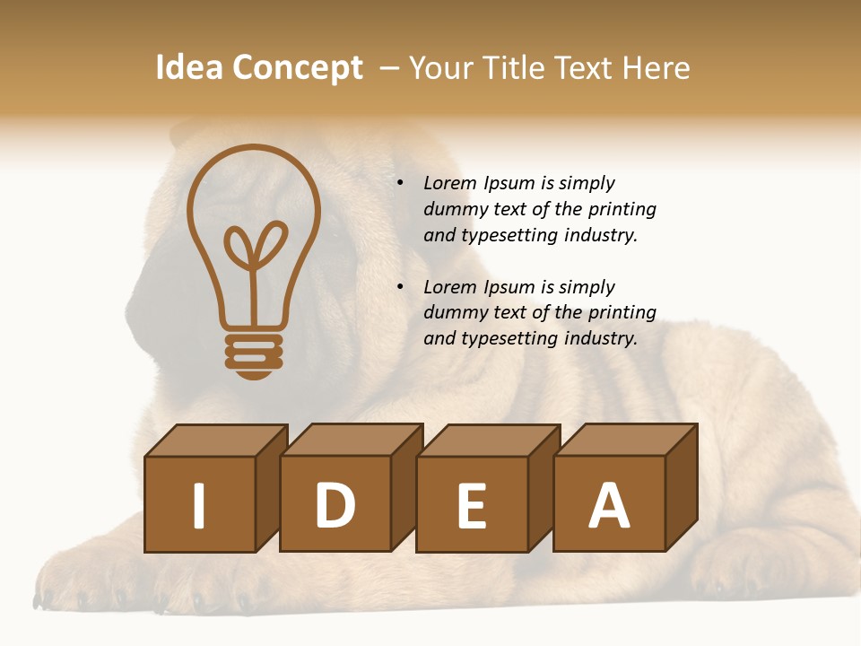 Shar Pei Puppy Lying Down PowerPoint Template