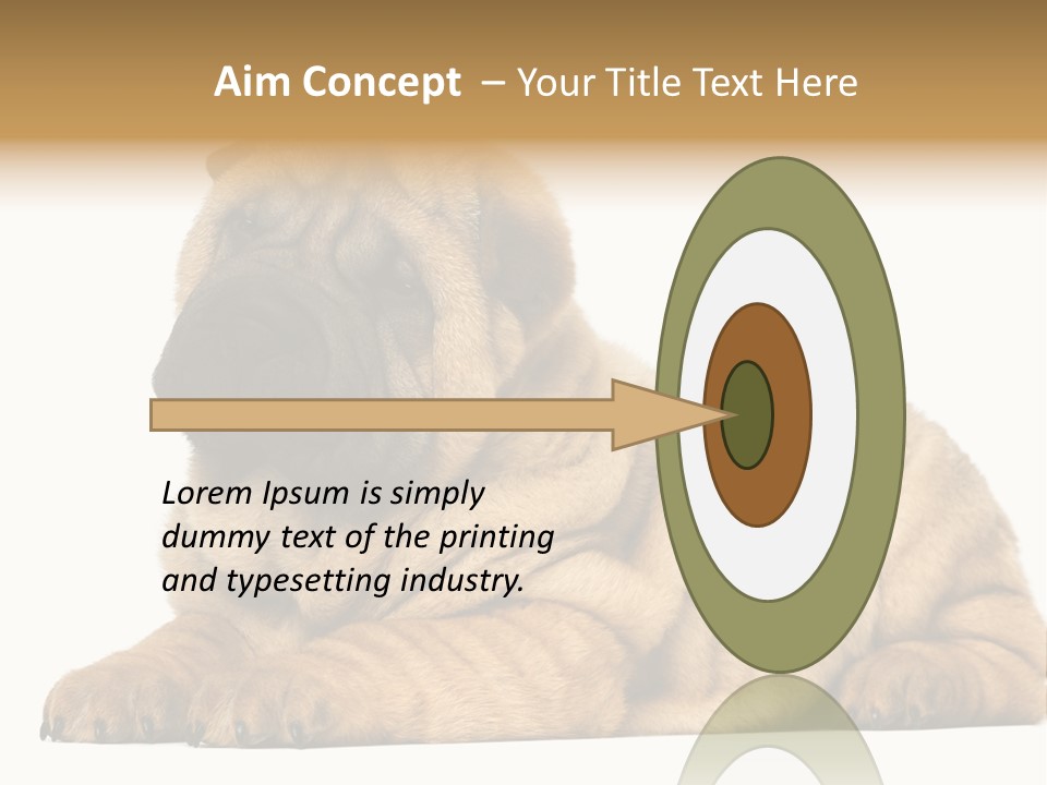 Shar Pei Puppy Lying Down PowerPoint Template