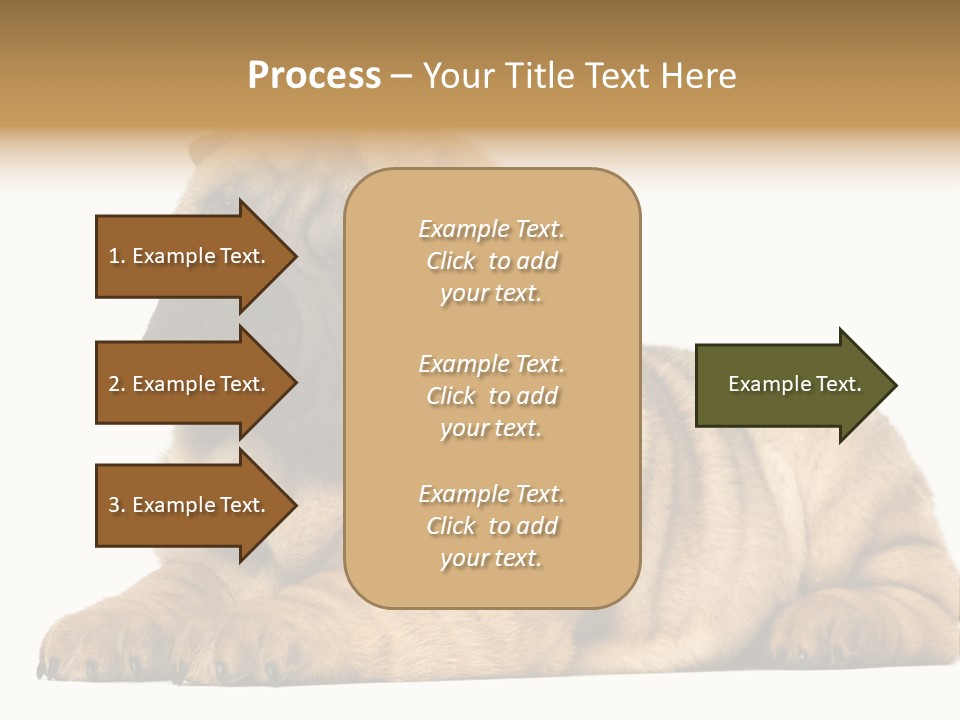 Shar Pei Puppy Lying Down PowerPoint Template
