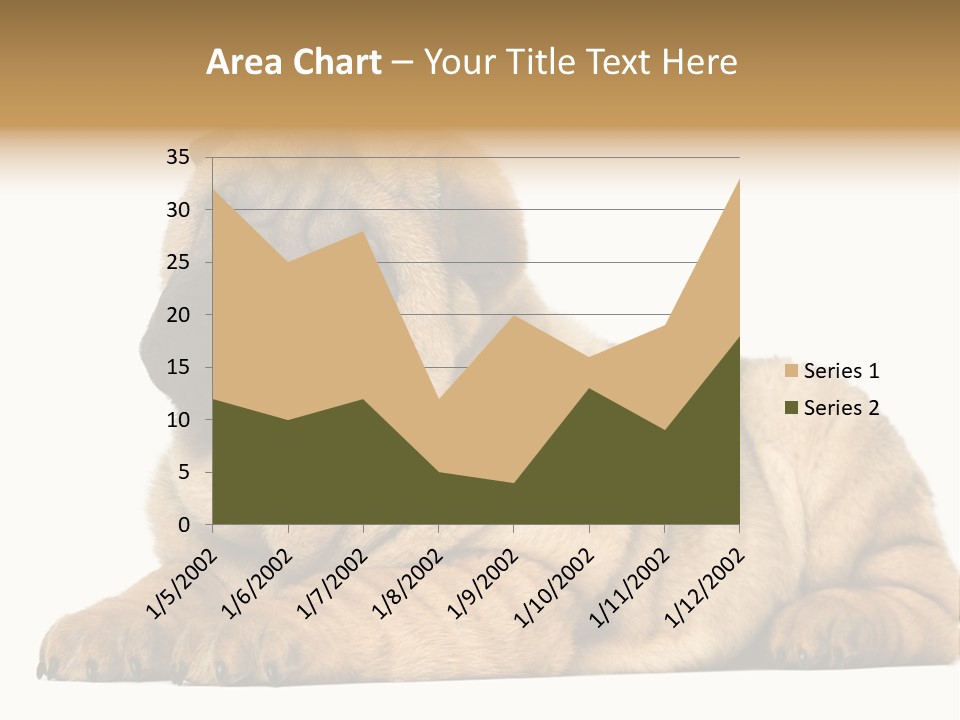 Shar Pei Puppy Lying Down PowerPoint Template
