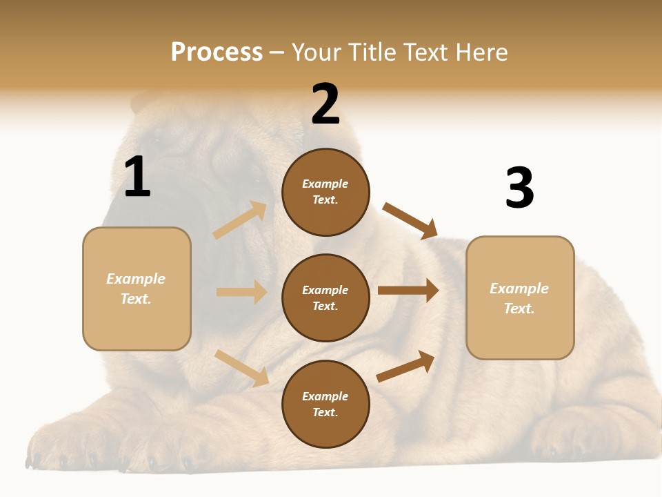 Shar Pei Puppy Lying Down PowerPoint Template