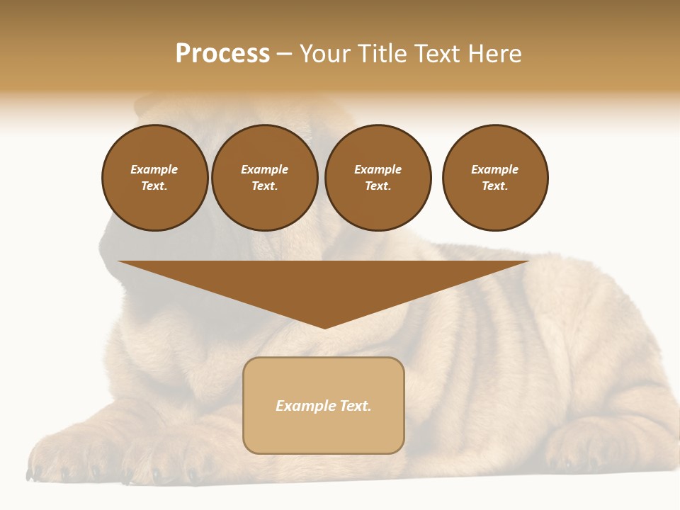 Shar Pei Puppy Lying Down PowerPoint Template