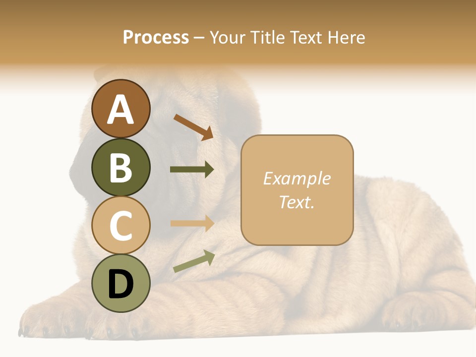 Shar Pei Puppy Lying Down PowerPoint Template