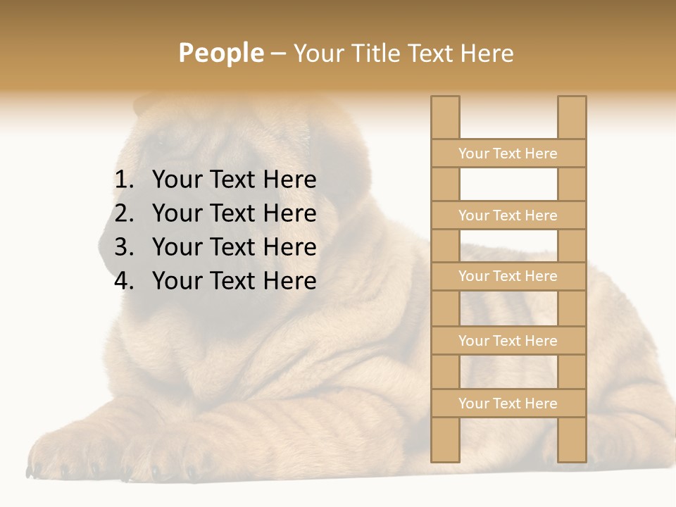 Shar Pei Puppy Lying Down PowerPoint Template