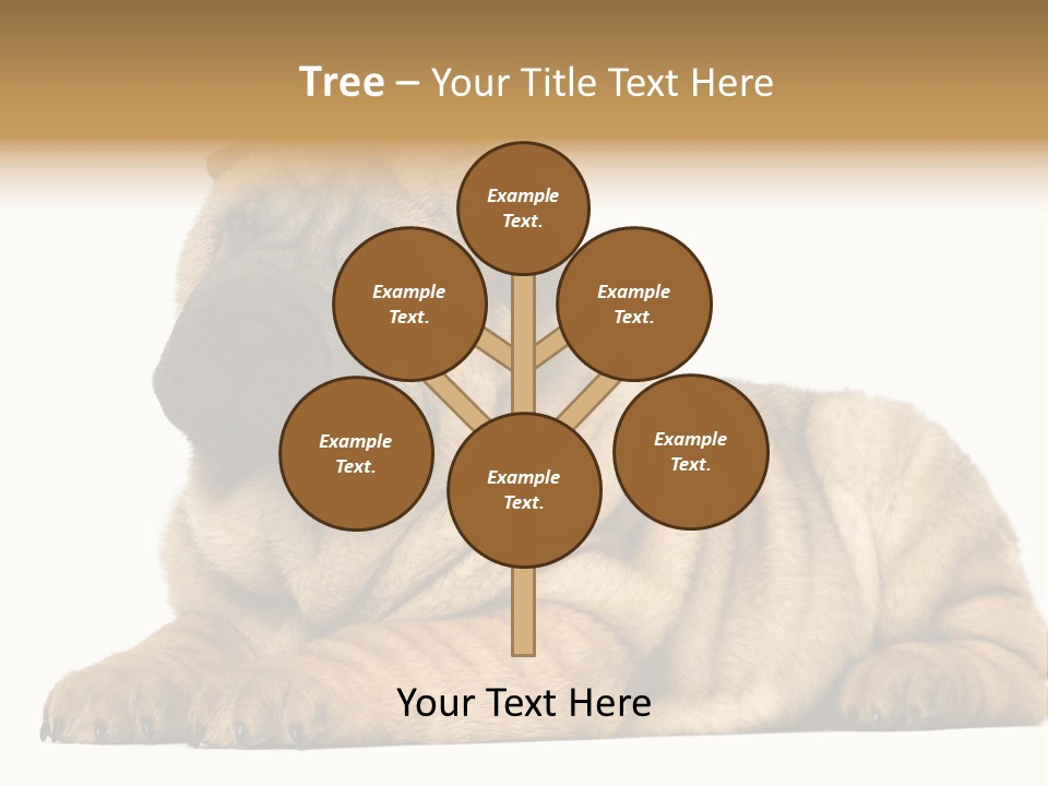 Shar Pei Puppy Lying Down PowerPoint Template