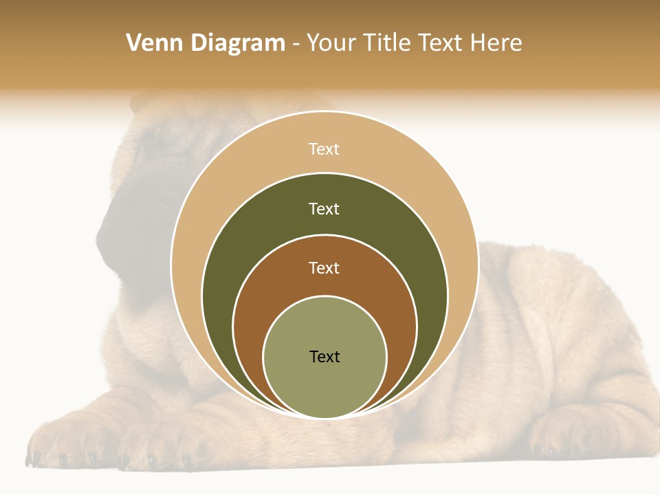 Shar Pei Puppy Lying Down PowerPoint Template