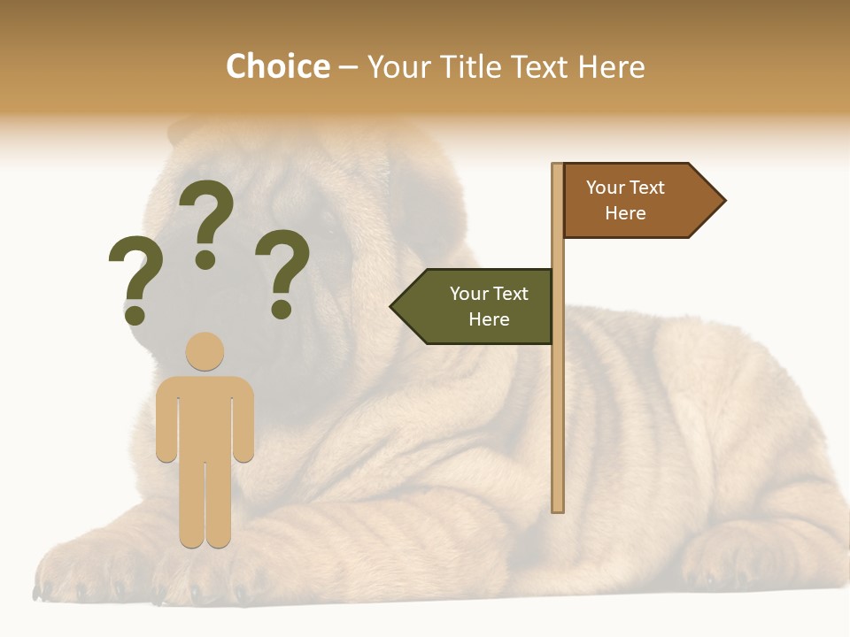 Shar Pei Puppy Lying Down PowerPoint Template