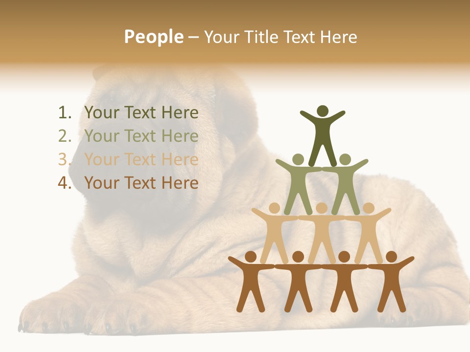 Shar Pei Puppy Lying Down PowerPoint Template