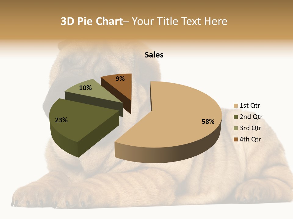 Shar Pei Puppy Lying Down PowerPoint Template