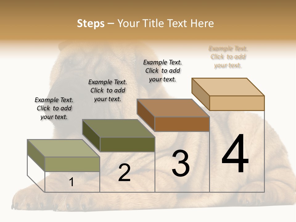 Shar Pei Puppy Lying Down PowerPoint Template