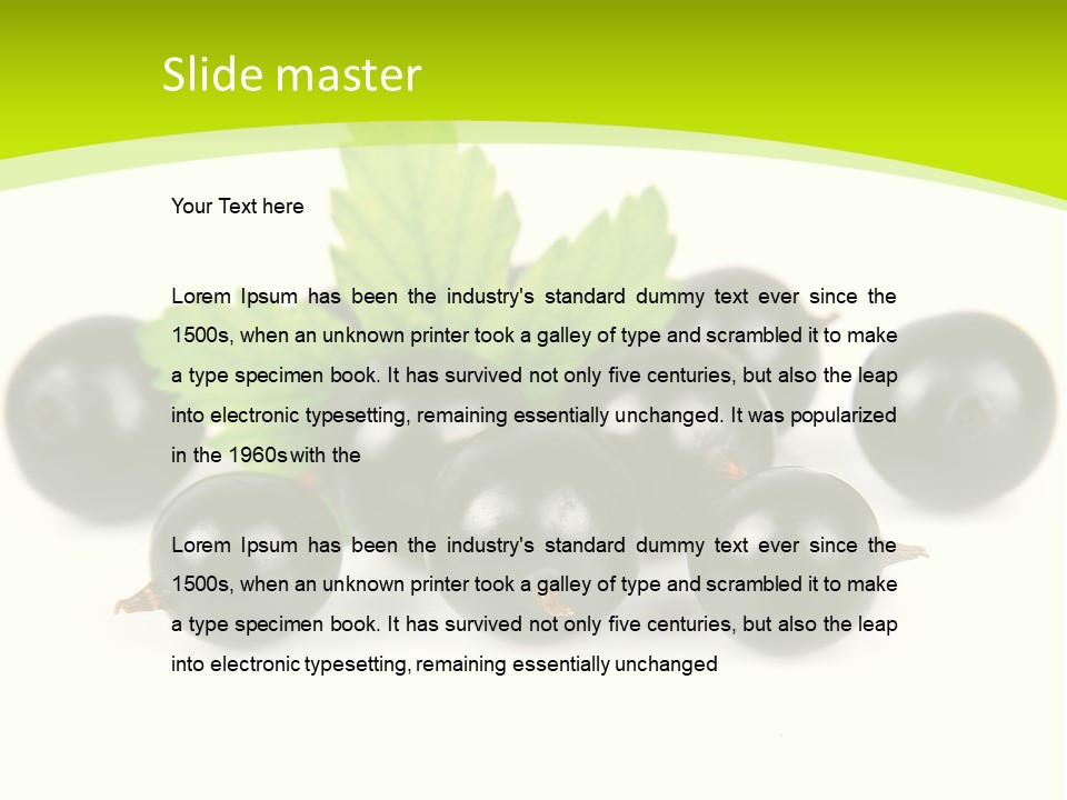 Black Currants PowerPoint Template