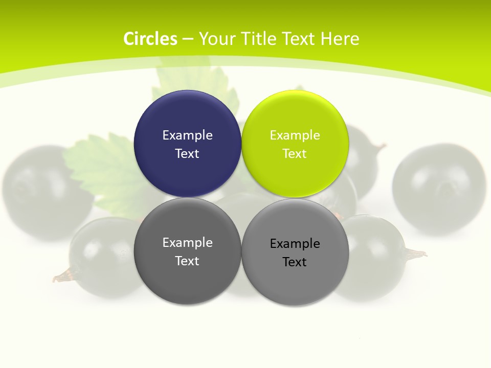 Black Currants PowerPoint Template