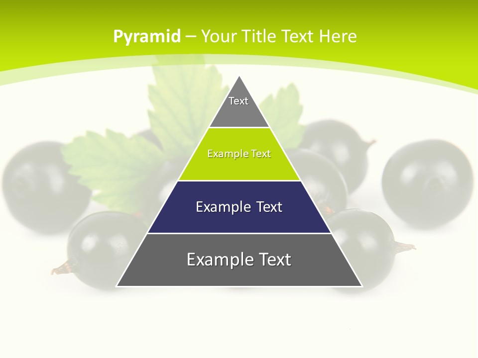 Black Currants PowerPoint Template