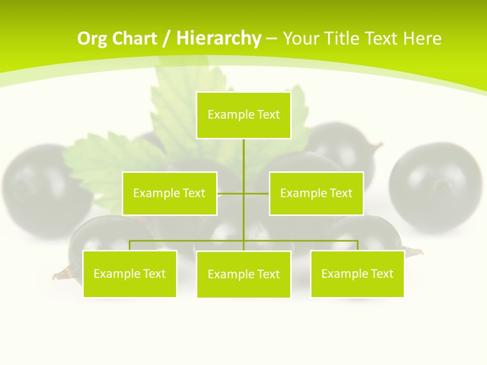 Black Currants PowerPoint Template