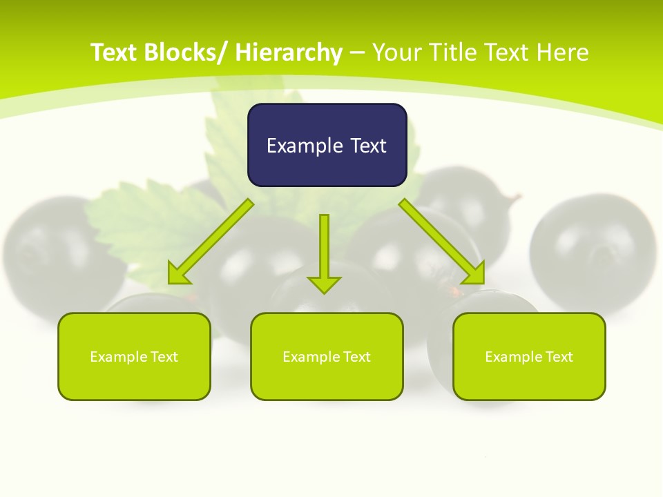 Black Currants PowerPoint Template