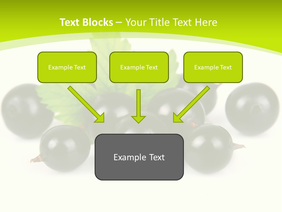 Black Currants PowerPoint Template