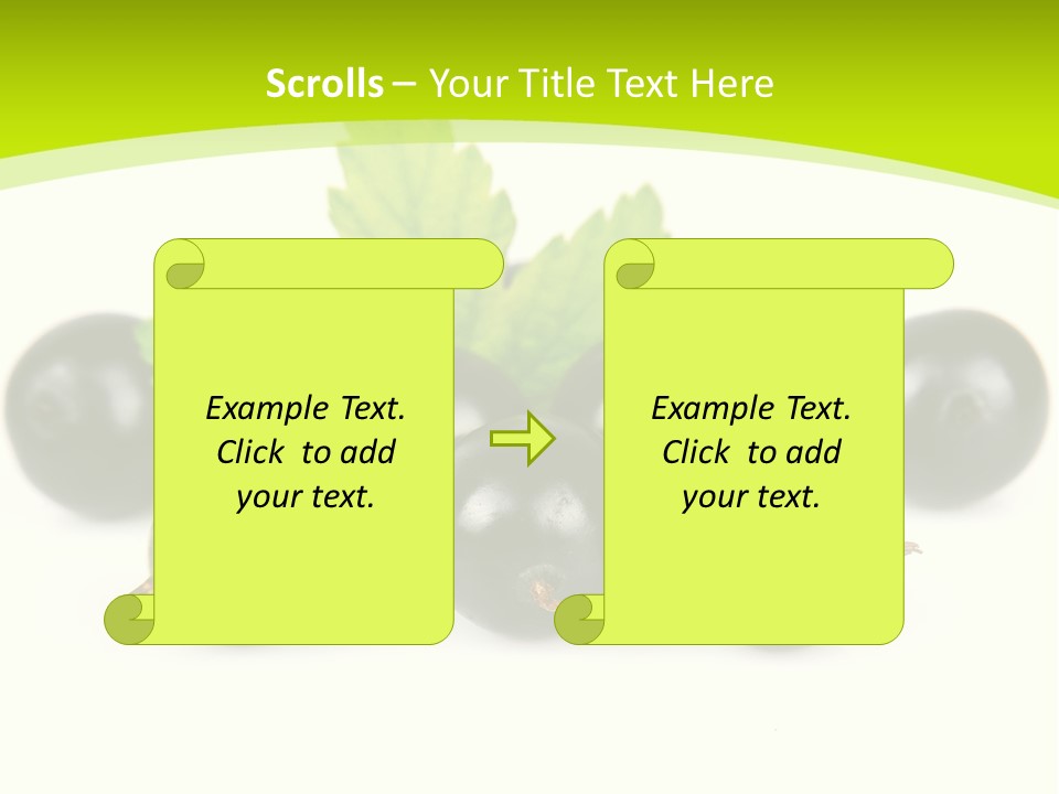 Black Currants PowerPoint Template