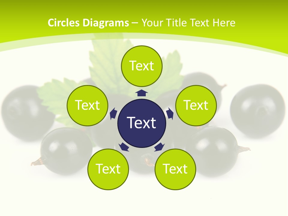 Black Currants PowerPoint Template