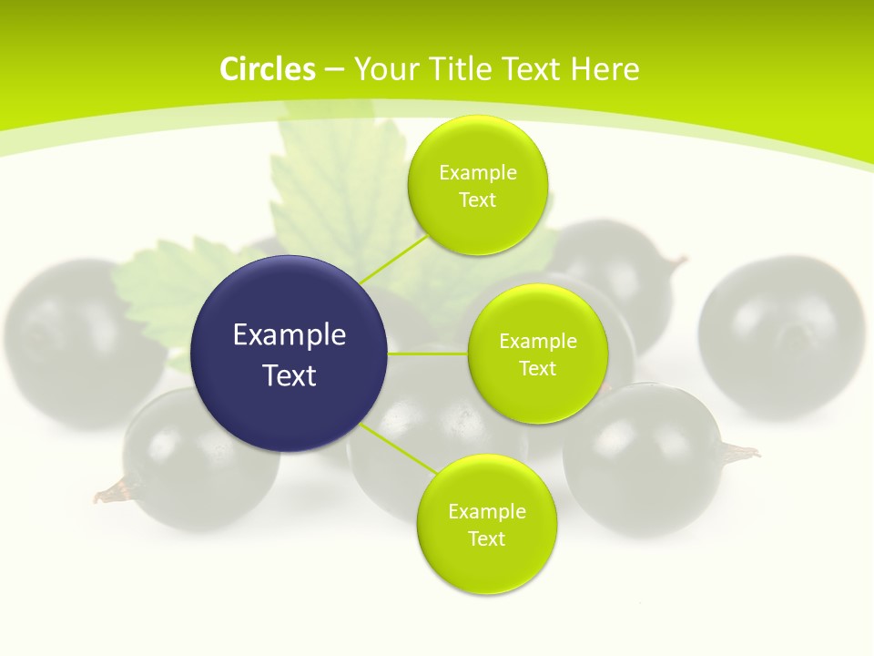 Black Currants PowerPoint Template
