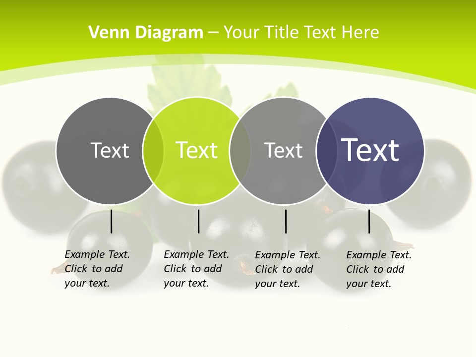 Black Currants PowerPoint Template