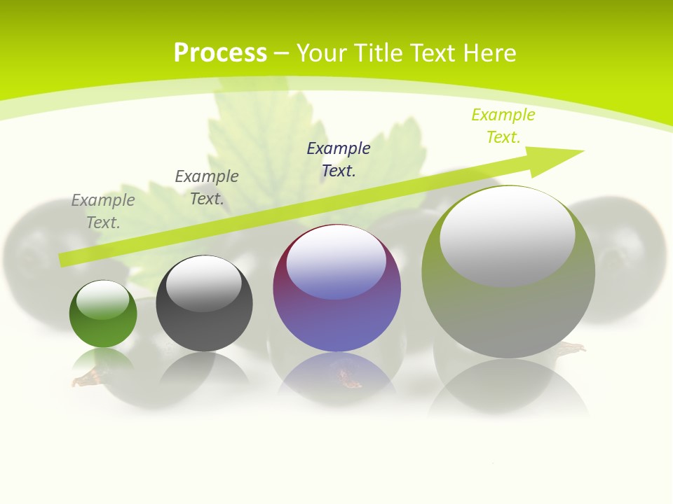 Black Currants PowerPoint Template