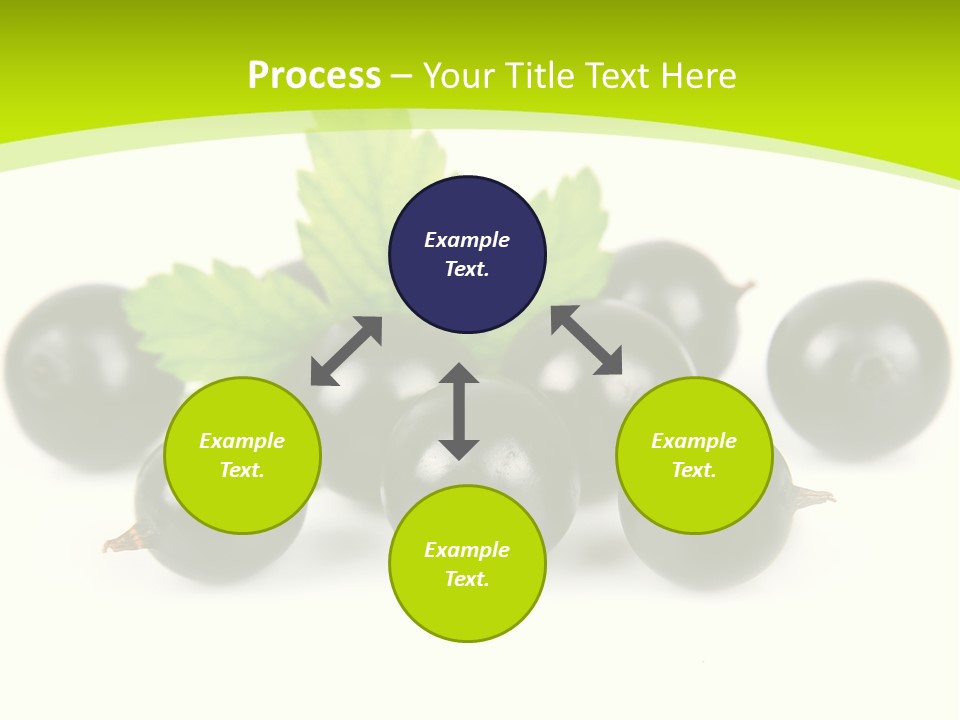 Black Currants PowerPoint Template
