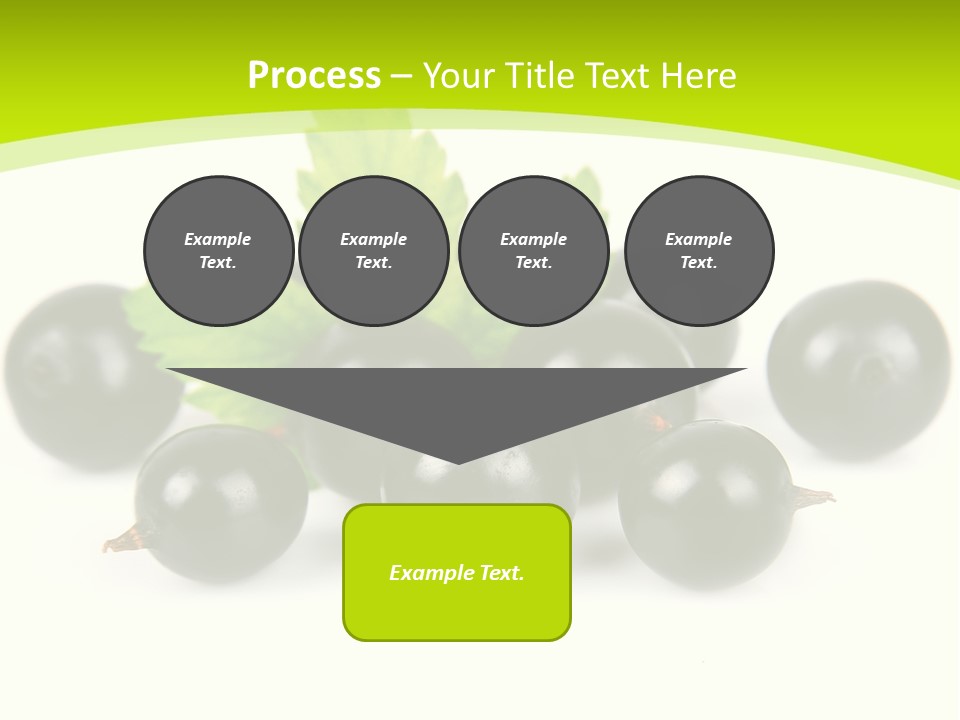 Black Currants PowerPoint Template