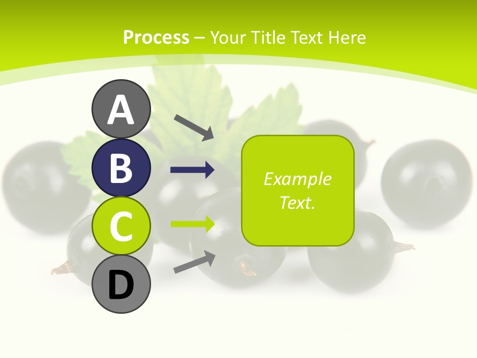 Black Currants PowerPoint Template