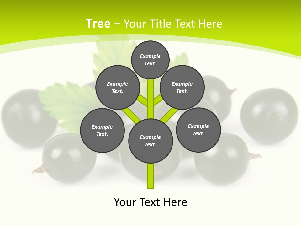 Black Currants PowerPoint Template