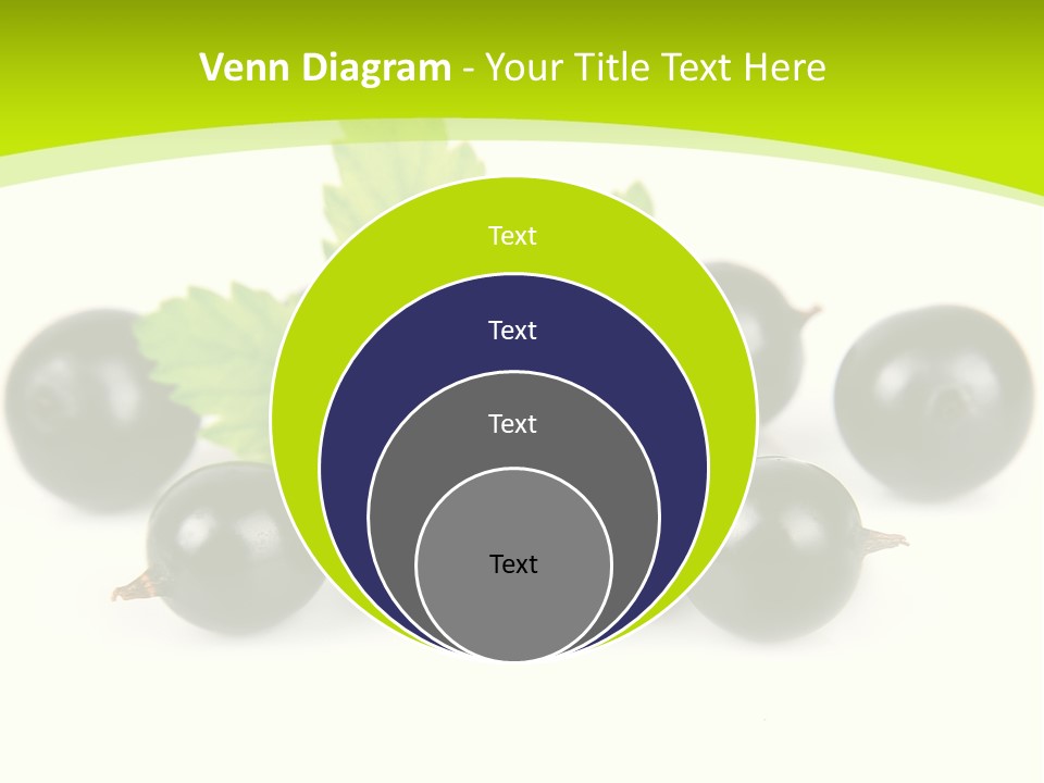Black Currants PowerPoint Template