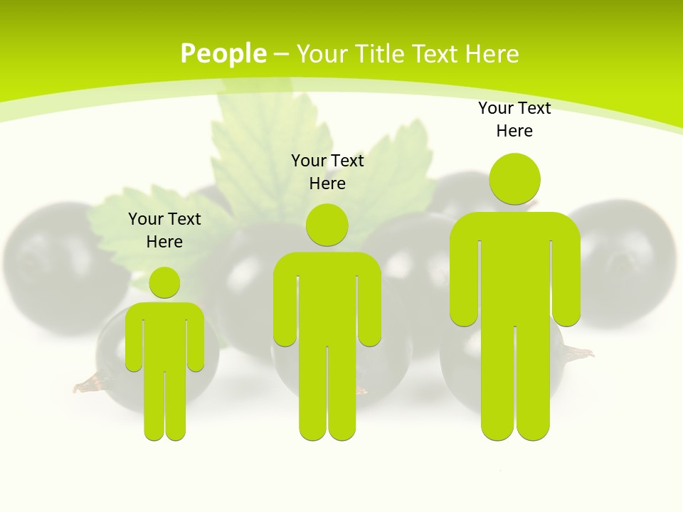 Black Currants PowerPoint Template