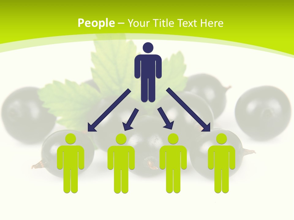 Black Currants PowerPoint Template