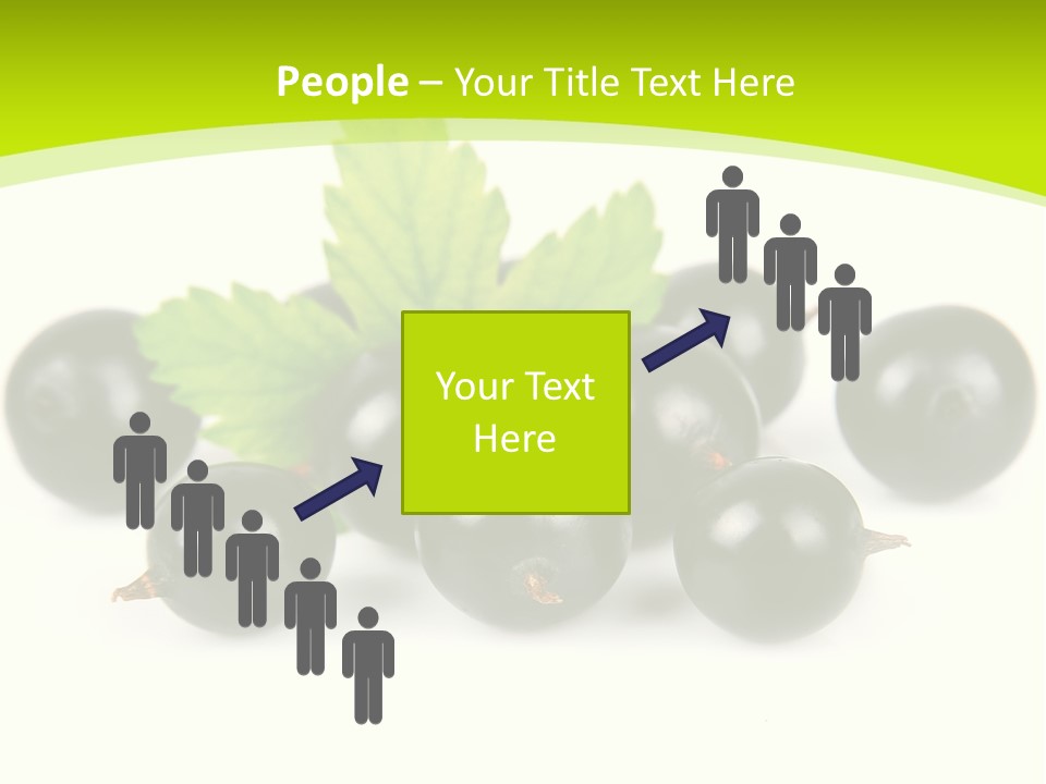 Black Currants PowerPoint Template