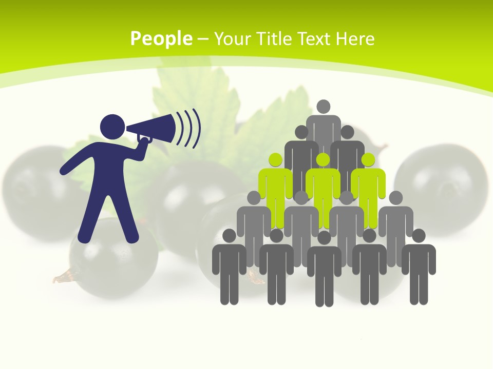 Black Currants PowerPoint Template