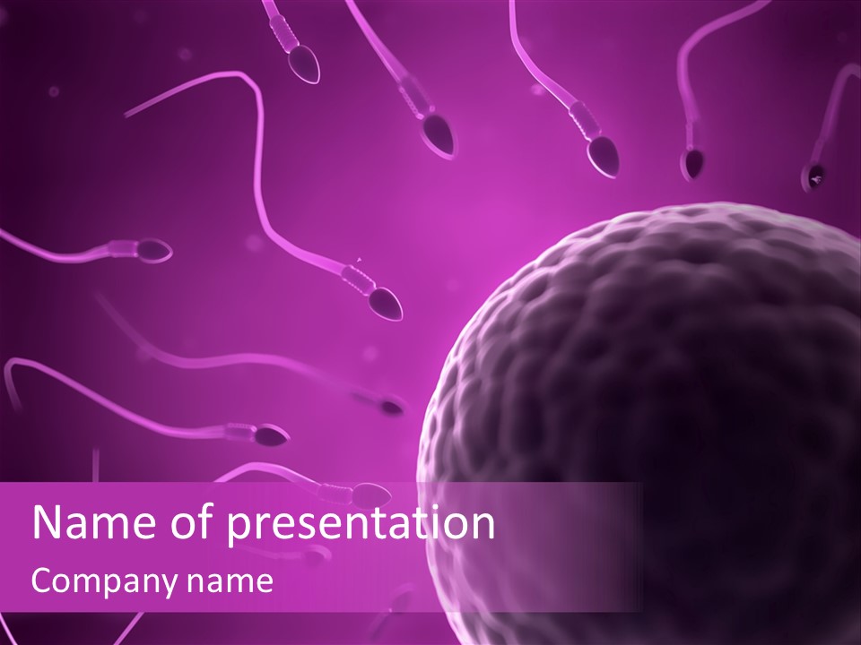 Illustration Of An Egg Cell And Sperm PowerPoint Template