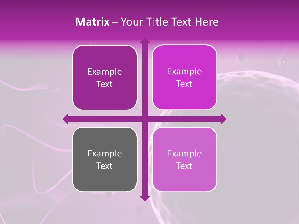 Illustration Of An Egg Cell And Sperm PowerPoint Template