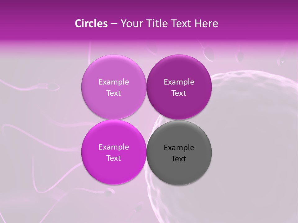 Illustration Of An Egg Cell And Sperm PowerPoint Template