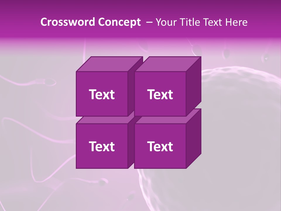 Illustration Of An Egg Cell And Sperm PowerPoint Template